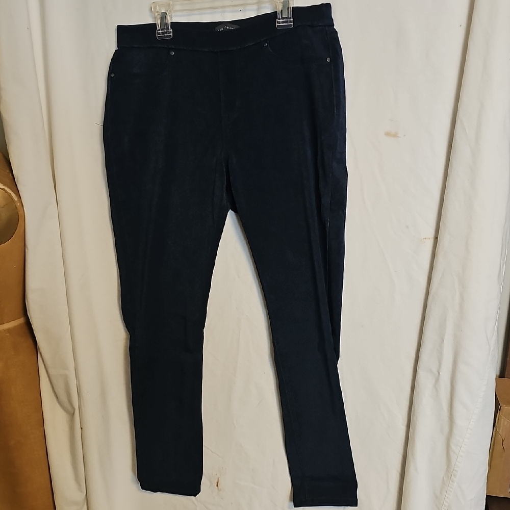 The Limited Womans Skinny Denim Jeggings. Size 10
